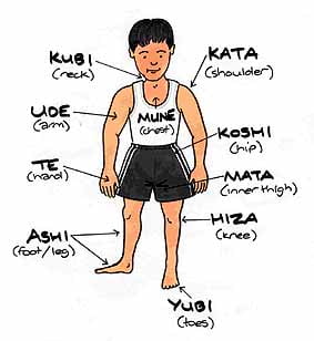 Japanese body